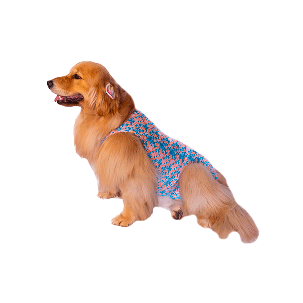 Roupa Pós-Cirúrgica Elastic Fêmea Zetta Pet - Imagem 2