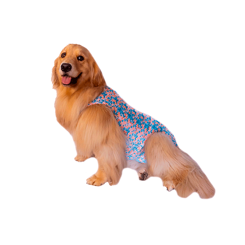 Roupa Pós-Cirúrgica Elastic Fêmea Zetta Pet - Imagem 3