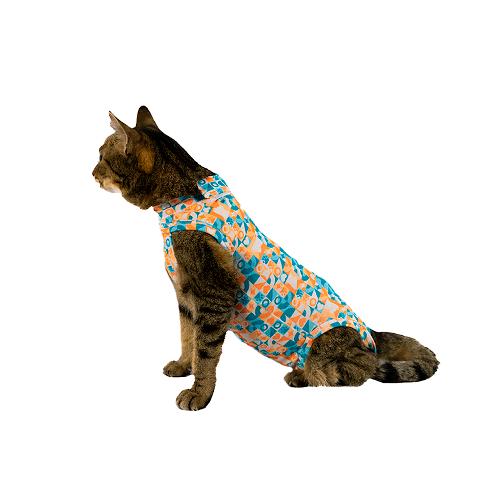 Roupa Pós-Cirúrgica Elastic Gato Zetta Pet - Imagem 2