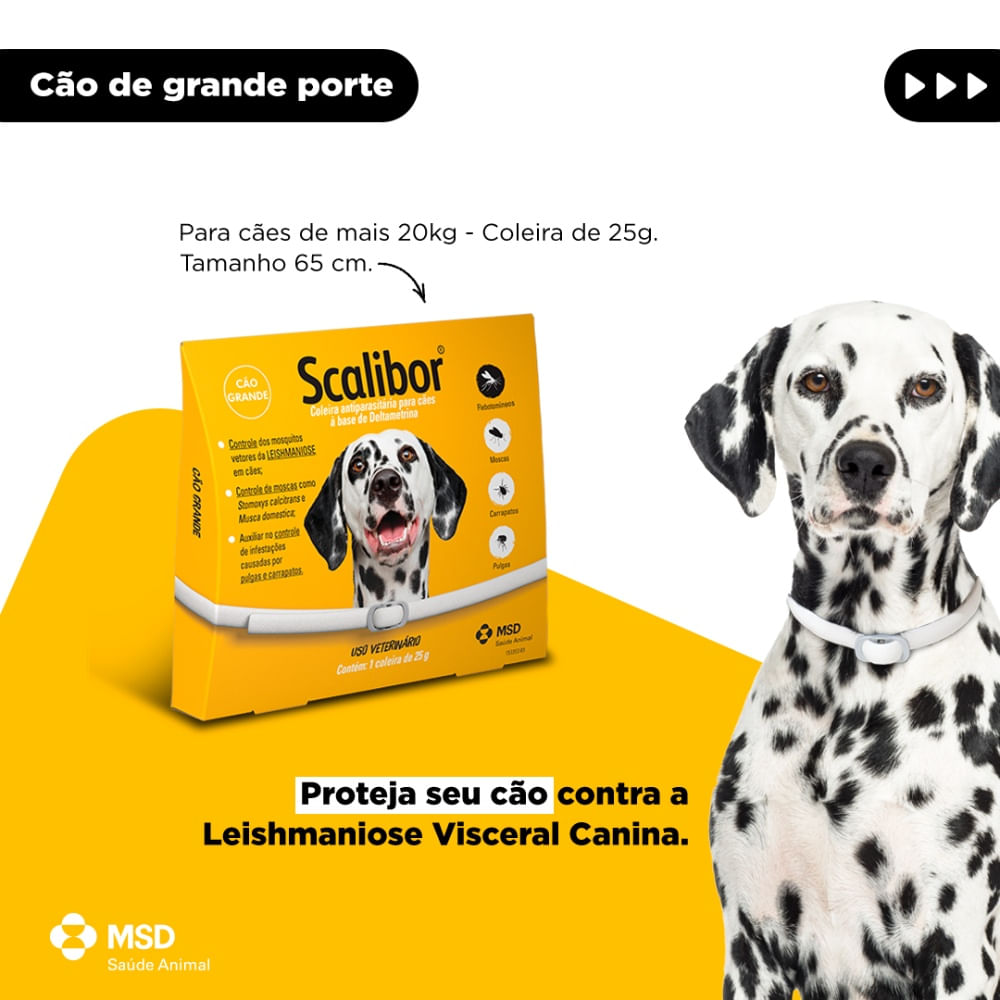 Coleira Antiparasitária Scalibor Cães Grandes - Imagem 2