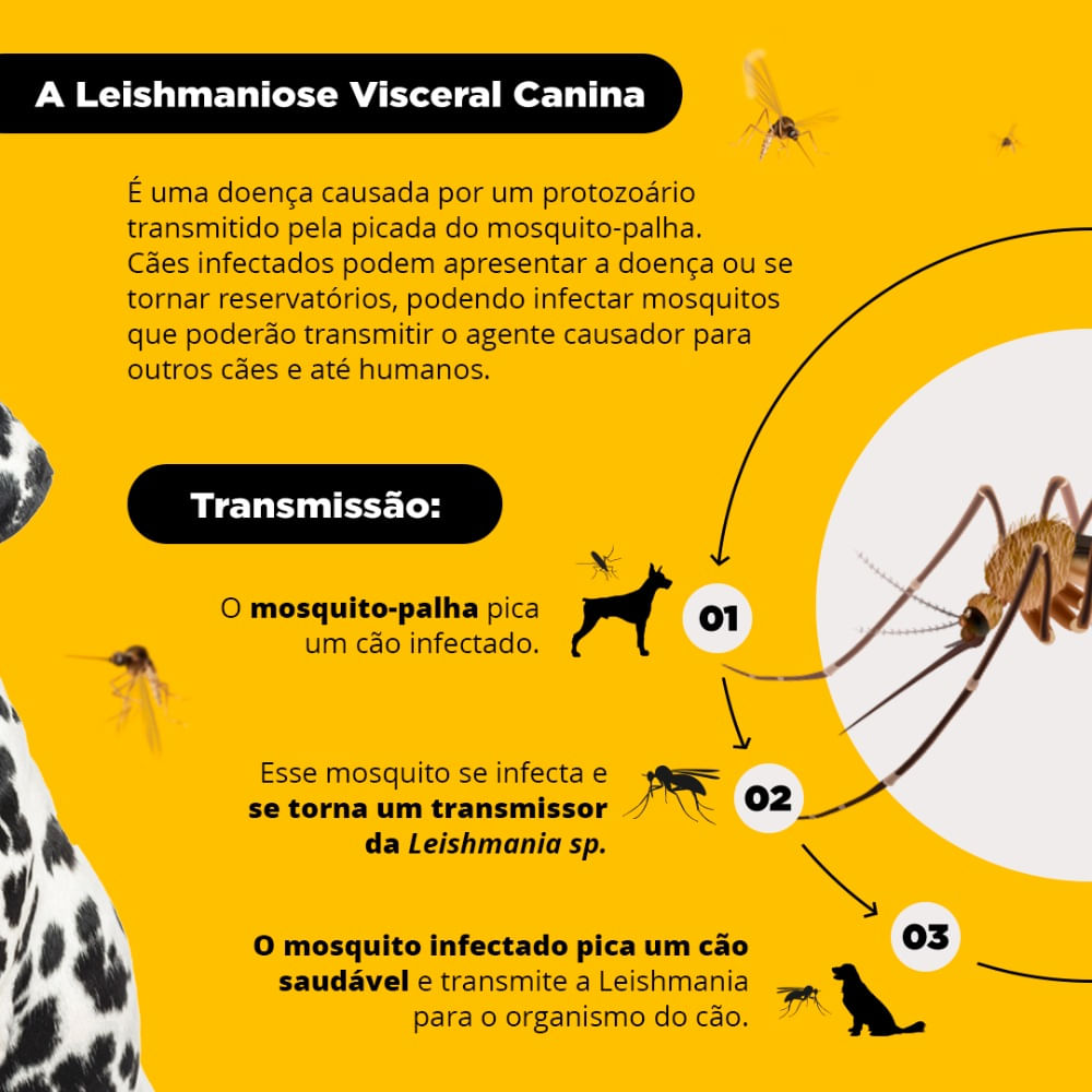 Coleira Antiparasitária Scalibor Cães Grandes - Imagem 3