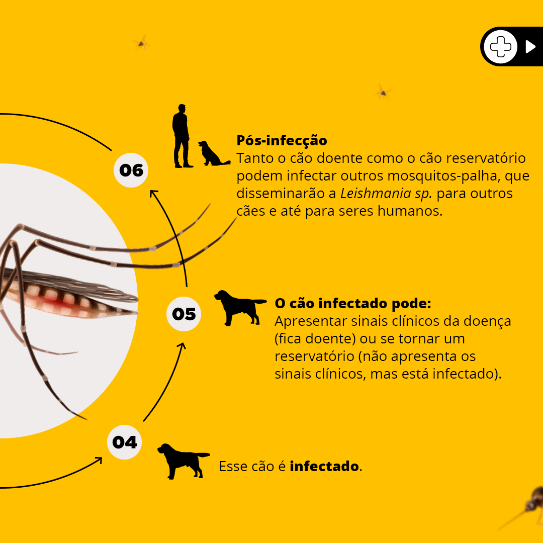 Coleira Antiparasitária Scalibor Cães Grandes - Imagem 4