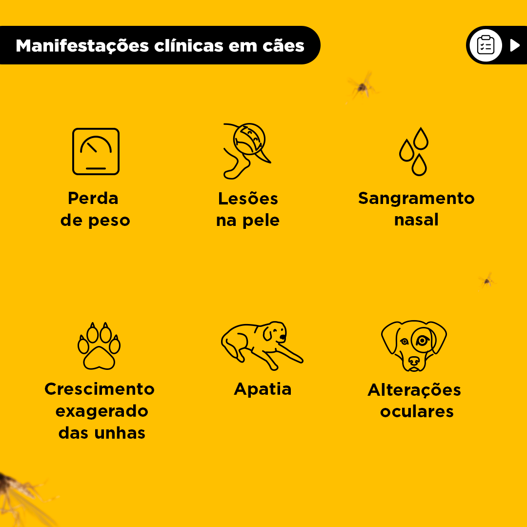 Coleira Antiparasitária Scalibor Cães Grandes - Imagem 5