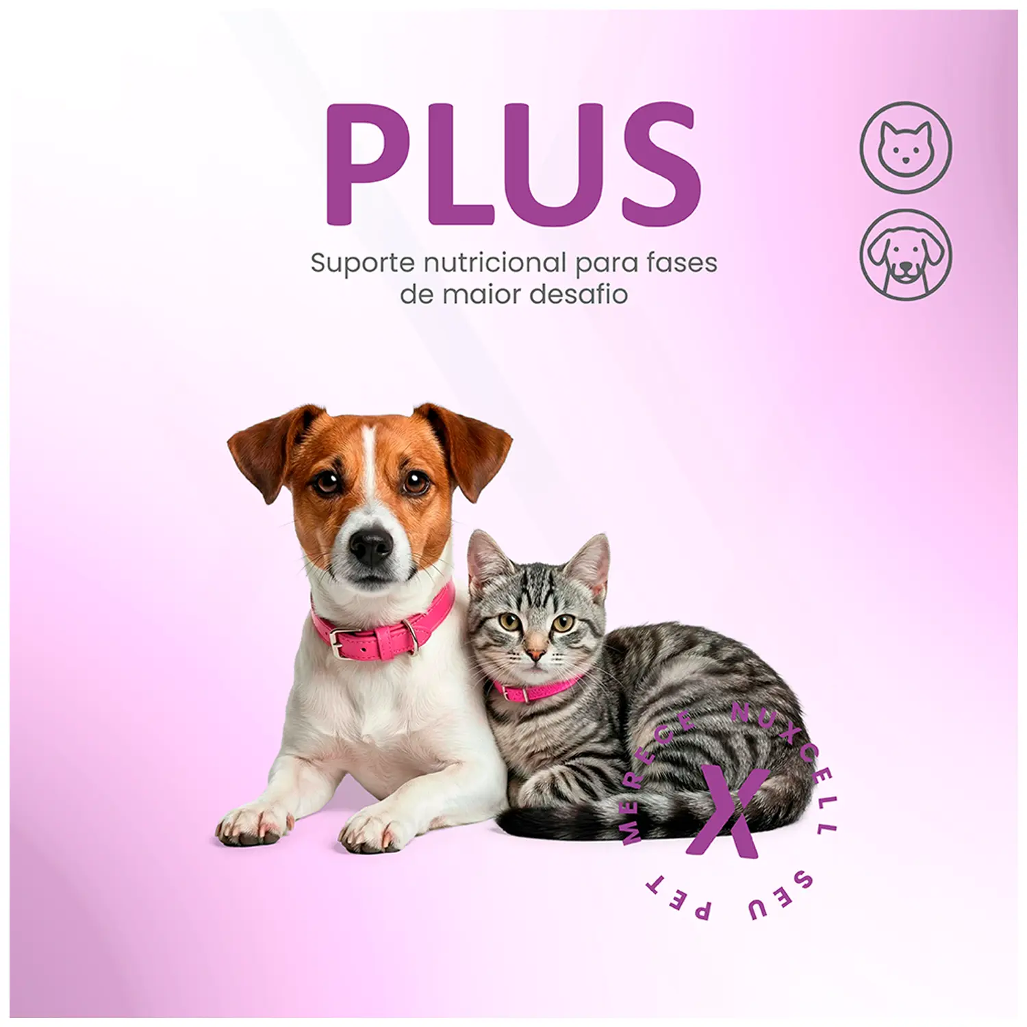 Suplemento Nuxcell Plus para Cães e Gatos - Imagem 5