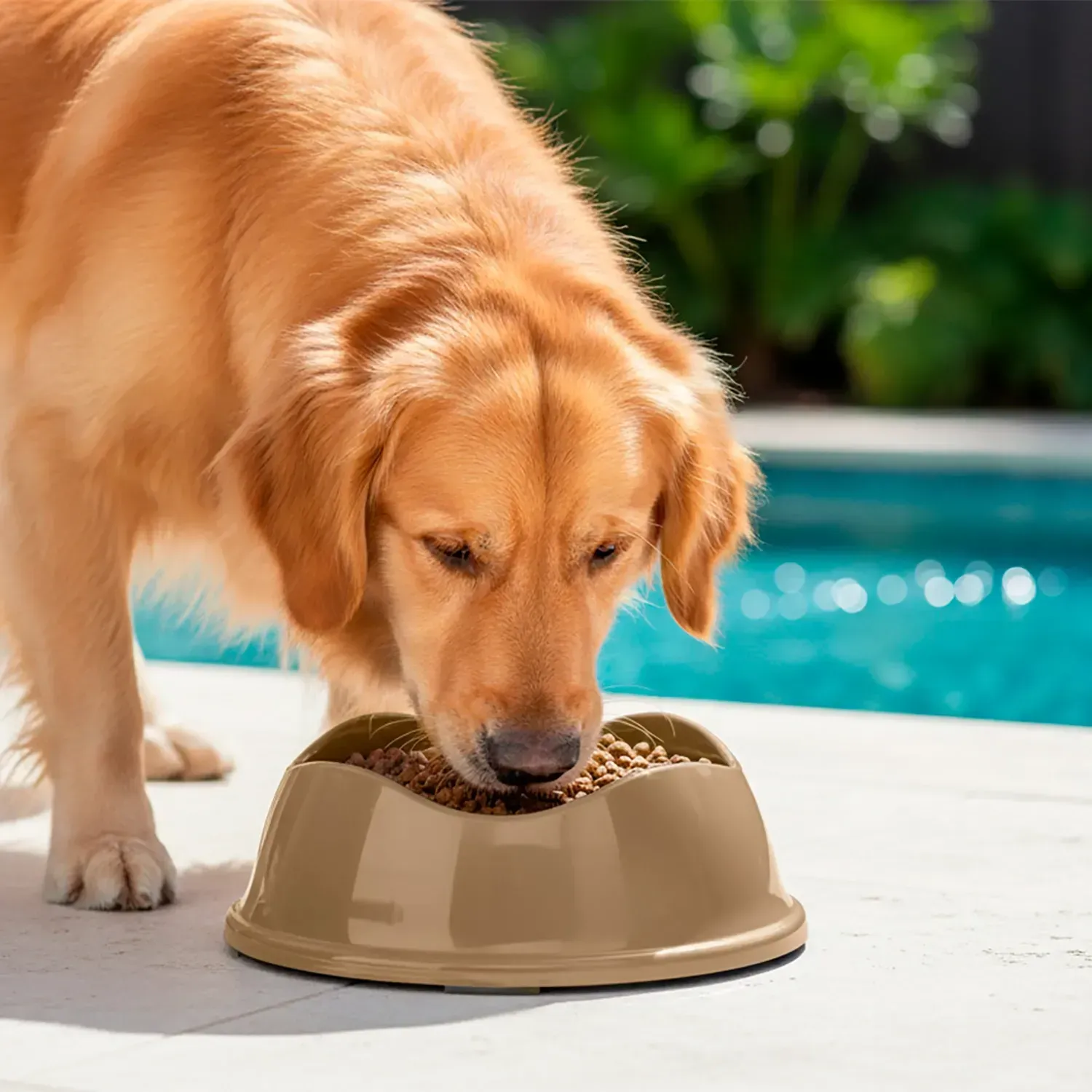 Comedouro Bowl Antiderrapante Stark Pet Bege - Imagem 27
