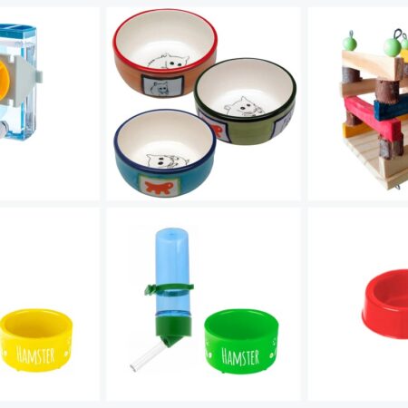 Acessorios Para Alimentacao
