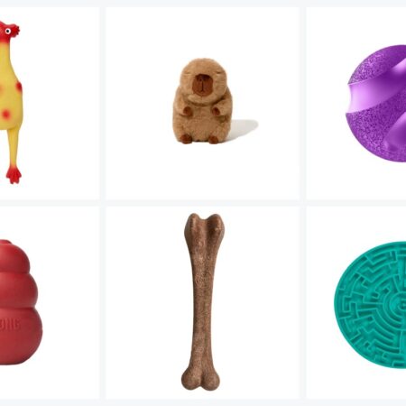Brinquedos Educativos