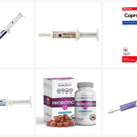 Probioticos