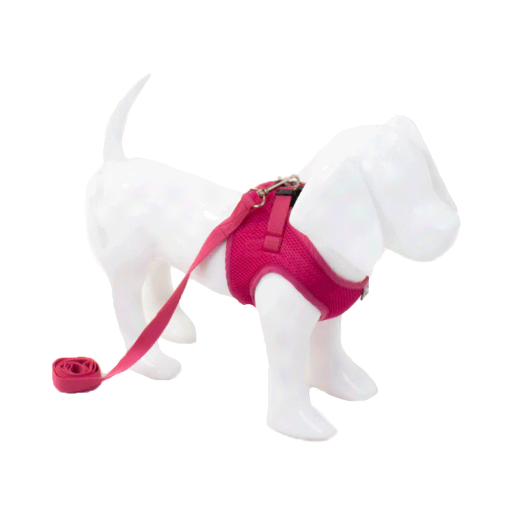 Peitoral com Guia para Cães Emporium Distripet Rosa - Imagem 2