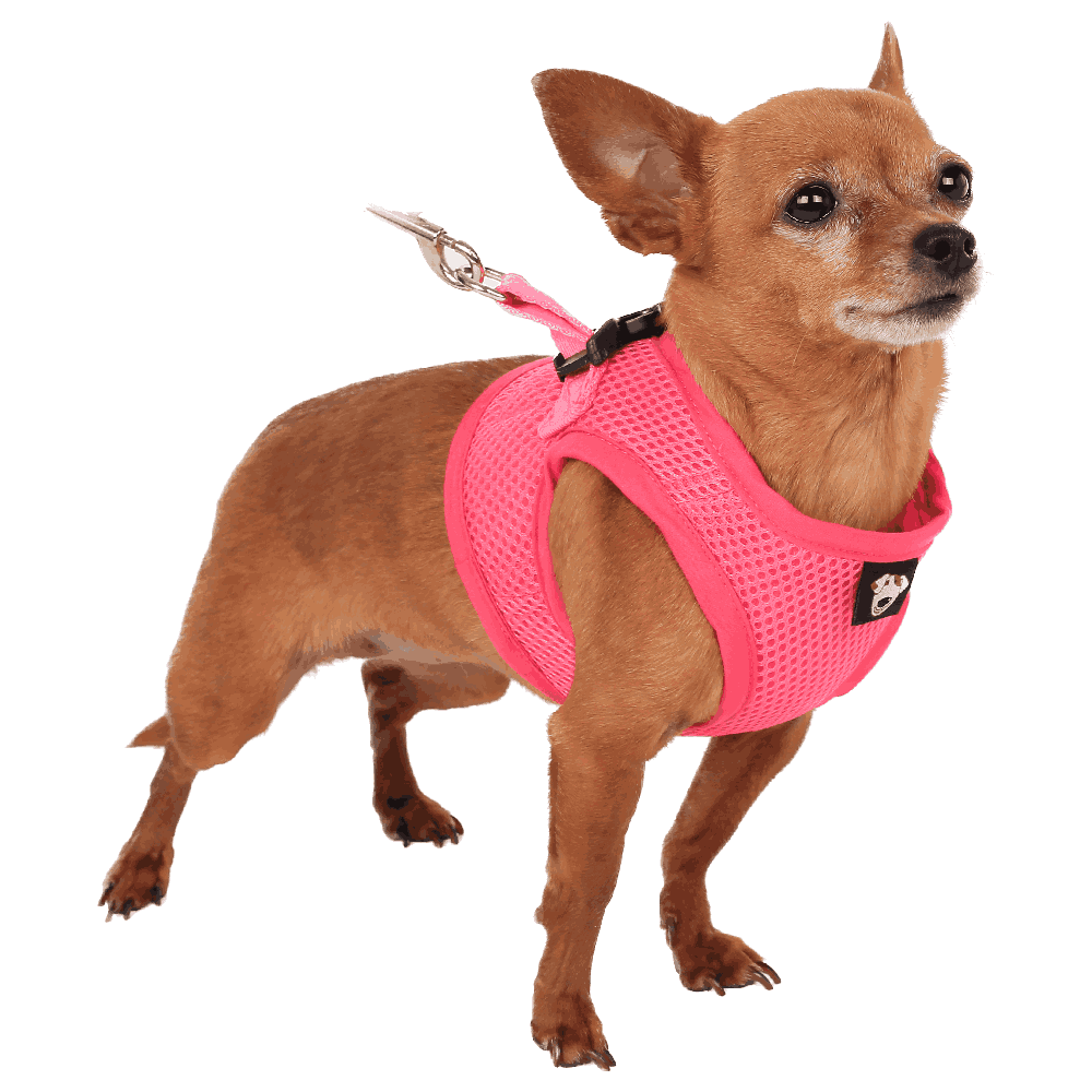 Peitoral com Guia para Cães Emporium Distripet Rosa - Imagem 5